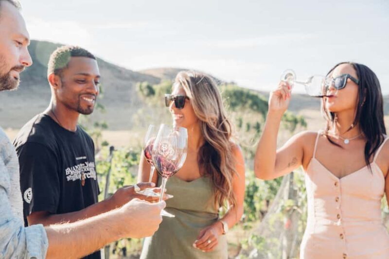 Waiheke Island: Wine Tour & Lunch at Award Winning Venue - A Well-Curated Taste of Waiheke Island