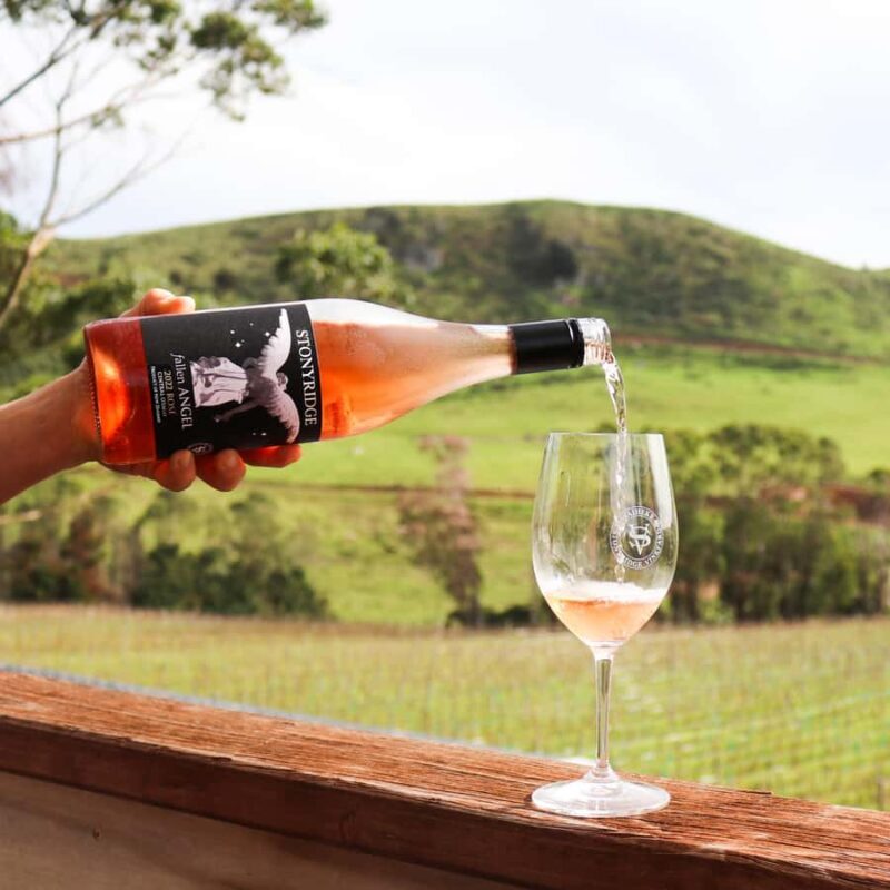 Waiheke Island: Wine Tour & Lunch at Award Winning Venue - Authentic Experiences and Real-World Feedback