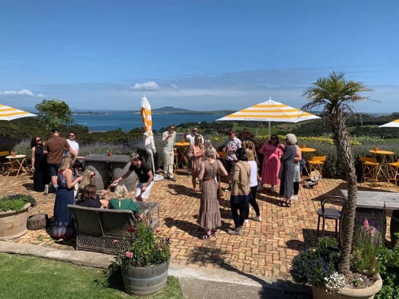 Waiheke Island: Wine Tour & Lunch at Award Winning Venue - Final Thoughts: Is This Tour Right for You?