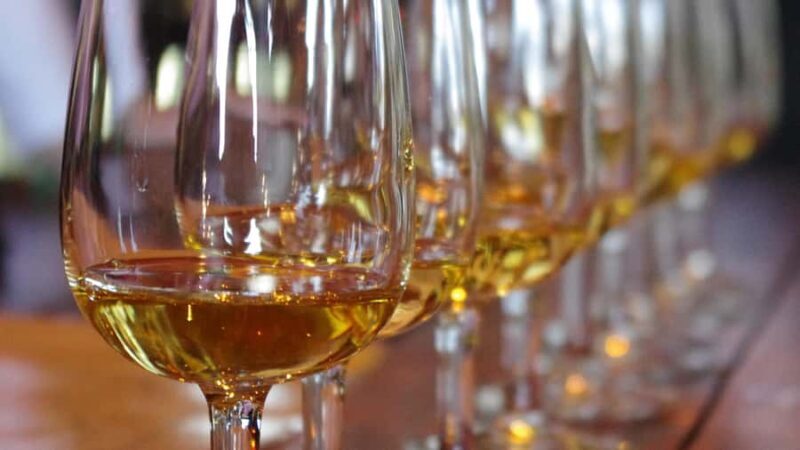 Waiheke Island Wine Tours - PREMIUM Wines - Max 11 clients ! - Introduction