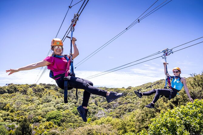 Waiheke Island: Zipline And Forest Walk - Customer Reviews and Feedback