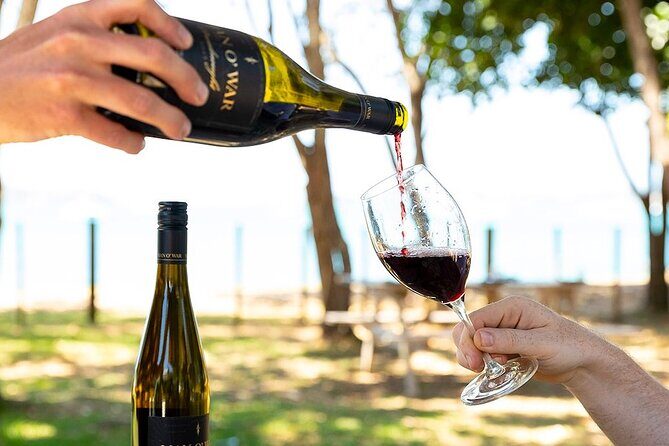 Waiheke Luxury 9 Hour Tour Tailored to You - Getting Started in Auckland and the Scenic Ferry Ride