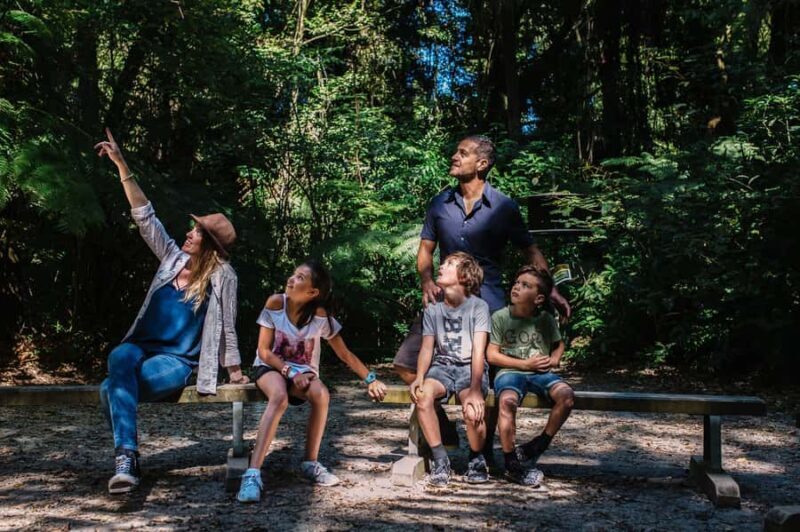 Waikato: Ancient Forest Guided Tour - Why This Tour Excels: Deep Connection and Authenticity