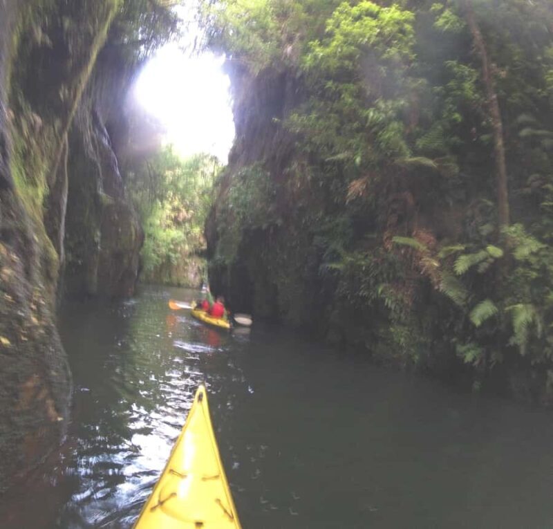 Waikato River: Glowworm Kayak Tour with Wine & Snacks - Key Points