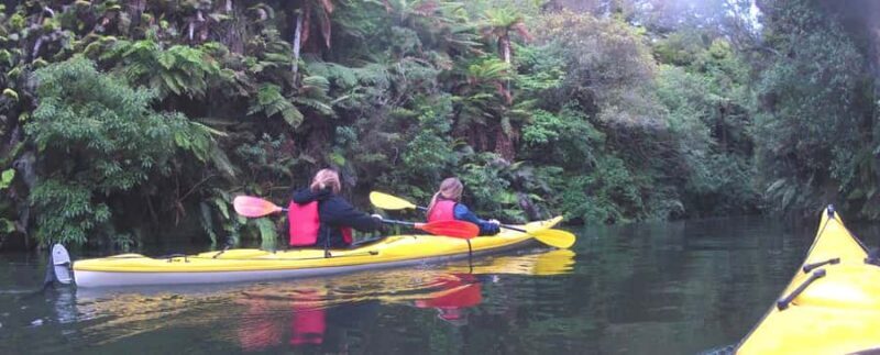 Waikato River: Glowworm Kayak Tour with Wine & Snacks - The Sum Up: Who Will Love This Tour?