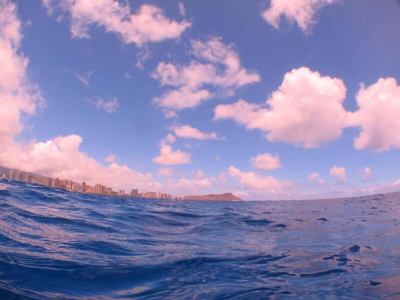 Waikiki: AM Paradise Honu Snorkeling - Key Points