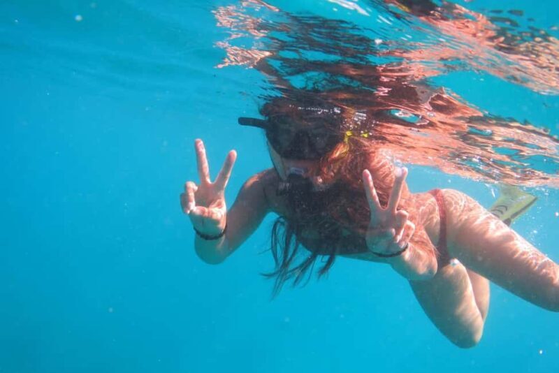 Waikiki: AM Paradise Honu Snorkeling - An Introduction to Waikiki’s Underwater Treasures