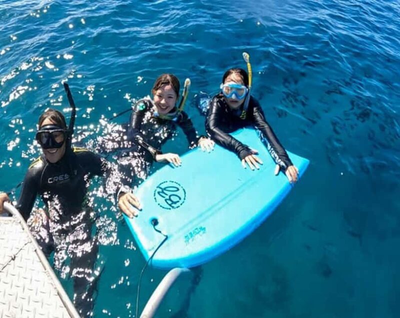 Waikiki: AM Paradise Honu Snorkeling - The Return & Overall Value