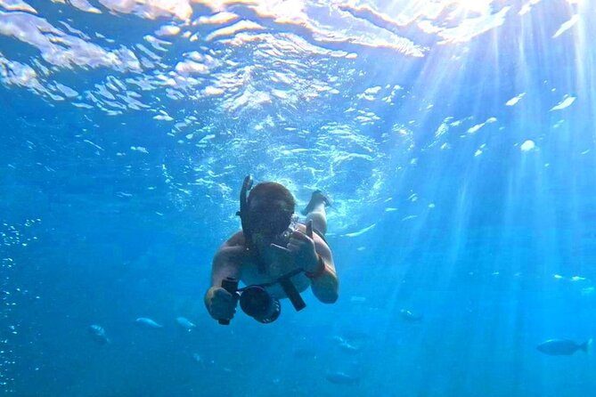 Waikiki Catamaran Escape: Snorkel With Turtles & Water Sports Fun - Safety and Accessibility