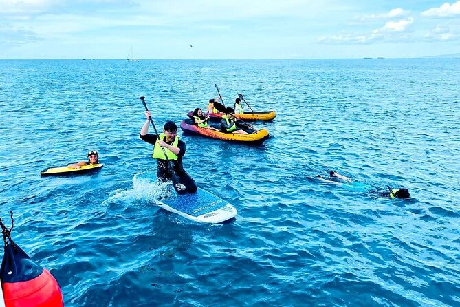 Waikiki Catamaran Escape: Snorkel With Turtles & Water Sports Fun - Wildlife Sightings