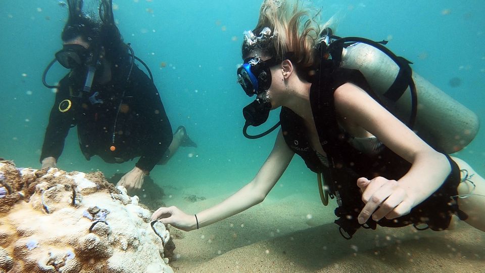 Waikiki: Honolulu Beginner Scuba Diving With Videos - Itinerary