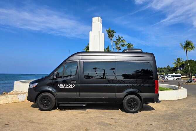 Waikiki Honolulu Private Airport Transfer Up to 10 Guests - The Vehicle and Comfort Features