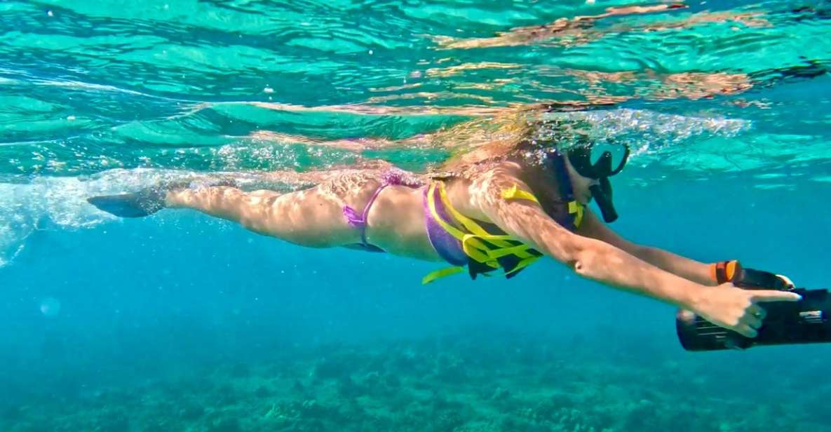 Waikiki: Monk Seal Bay Dolphin and Turtle Jet Snorkel Tour - Snorkeling With Sea Turtles