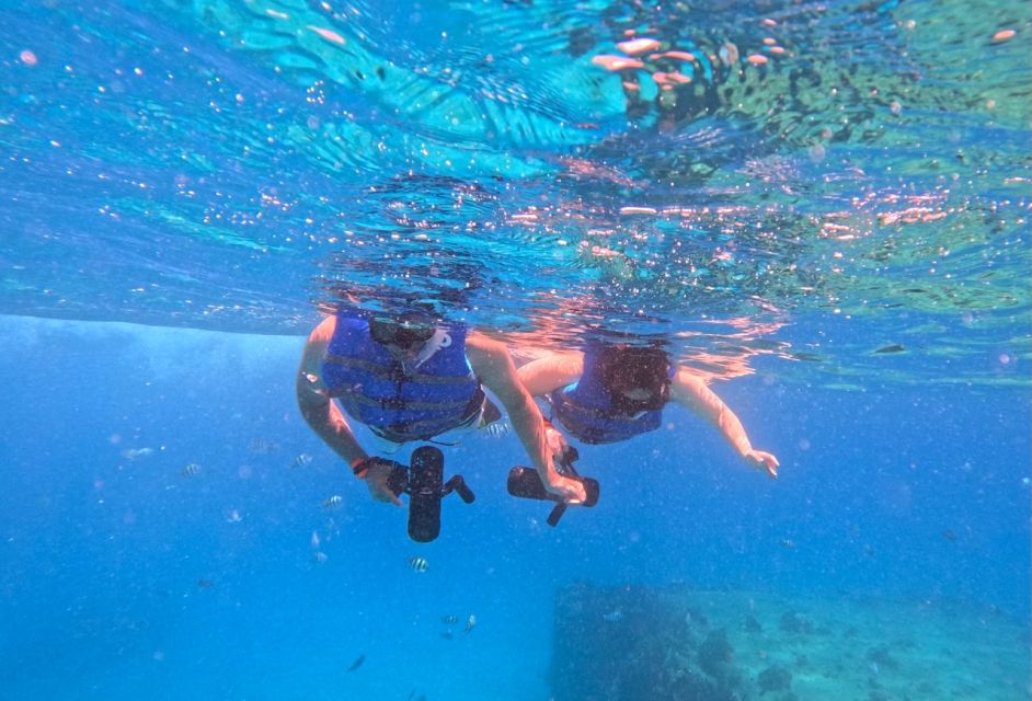 Waikiki: Monk Seal Bay Dolphin and Turtle Jet Snorkel Tour - Suitability and Restrictions