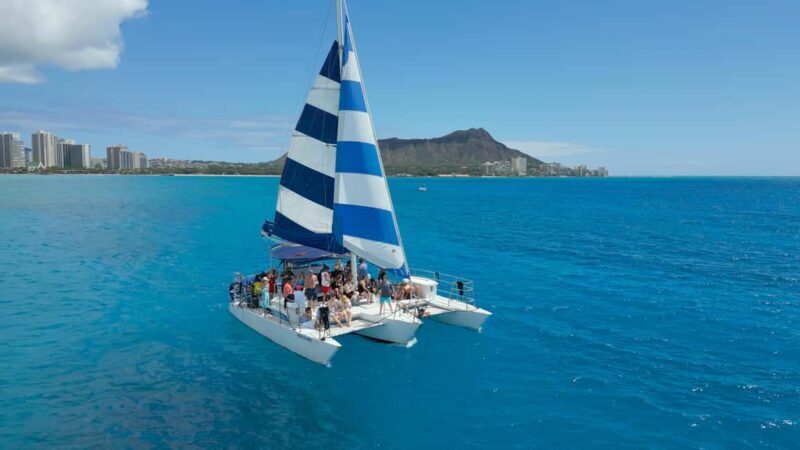 Waikiki: Sail and Turtle Snorkel Experience - What Makes This Tour Stand Out?