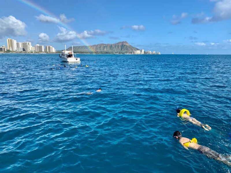Waikiki: Sea Turtle Snorkeling Boat Tour (6 People Max) - FAQ