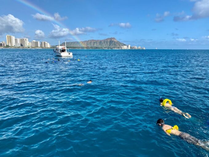 Waikiki: Sea Turtle Snorkeling, Small Group Boat Tour - Customer Reviews