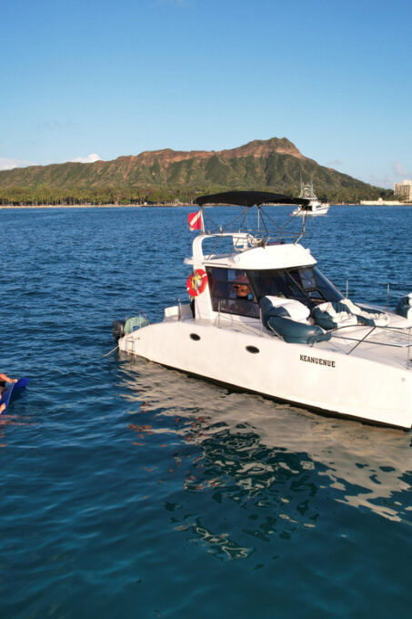 Waikiki: Sea Turtle Snorkeling, Small Group Boat Tour - Highlights