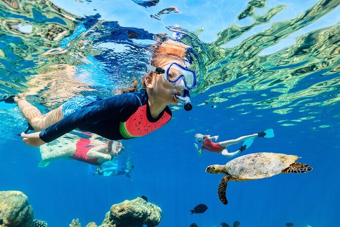 Waikiki Snorkel & Ocean Waterpark Experience - Waikiki Snorkel & Ocean Waterpark Experience Review