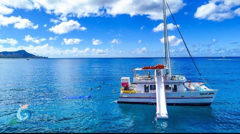 Waikiki Snorkeling and Ocean Waterpark Adventure - Key Points