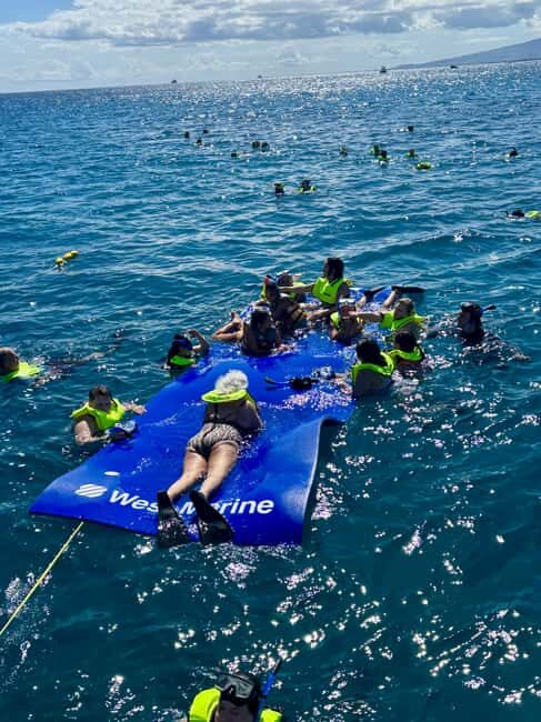 Waikiki: Snorkeling & Ocean Playground Experience - Price & Value