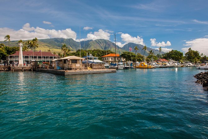 Waikiki Turtle Canyon Snorkel (2 Hours; Ala Wai Harbor, Oahu) - Customer Reviews