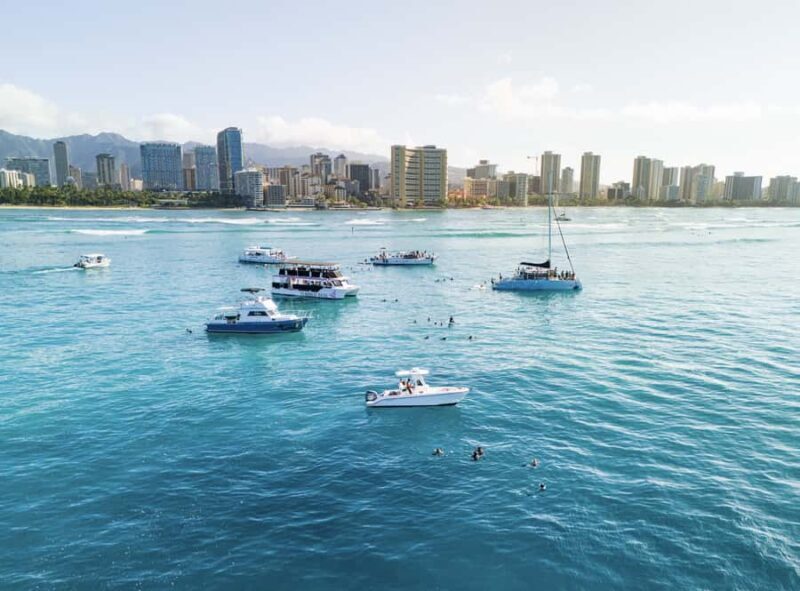 Waikiki: Turtle Canyon Snorkel Tour - 6 passengers max - FAQ