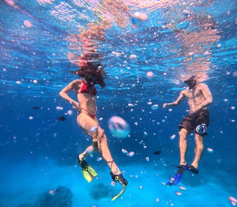 Waikiki: Turtle Canyon Snorkeling Boat Tour (Only 16 people) - Why This Tour Stands Out