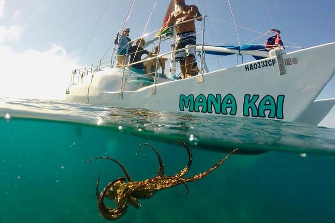 Waikiki Turtle Snorkel Adventure With Manakai Catamaran - Experience Details