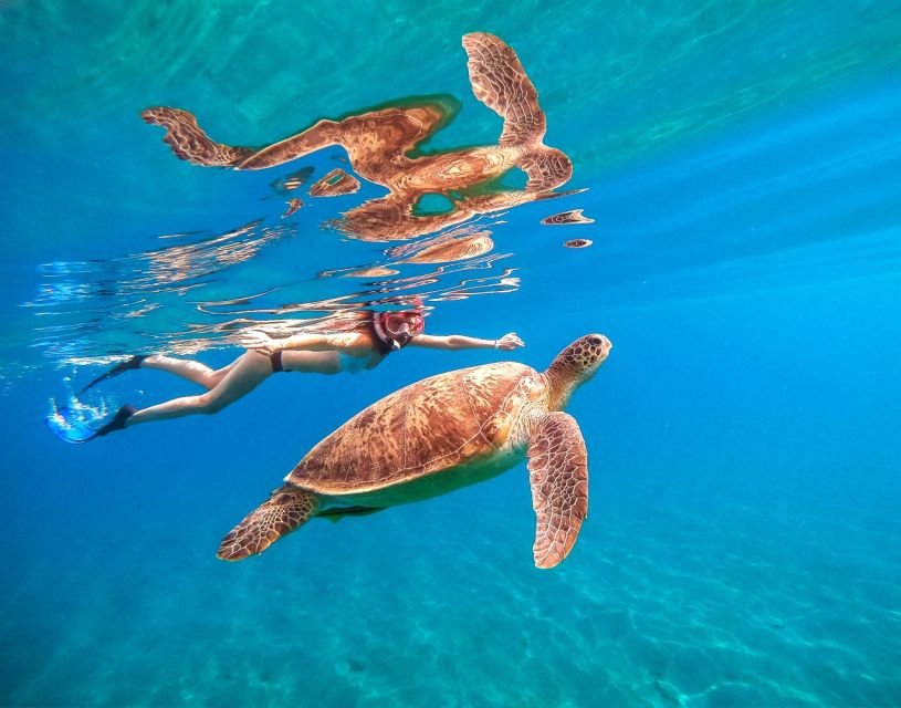 Waikiki: Turtle Snorkeling Cruise With 20FT Jumping Platform - Snorkeling With Marine Life