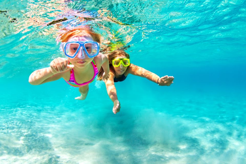 Waikiki: Turtle Snorkeling Cruise With 20FT Jumping Platform - Catamaran and Onboard Amenities