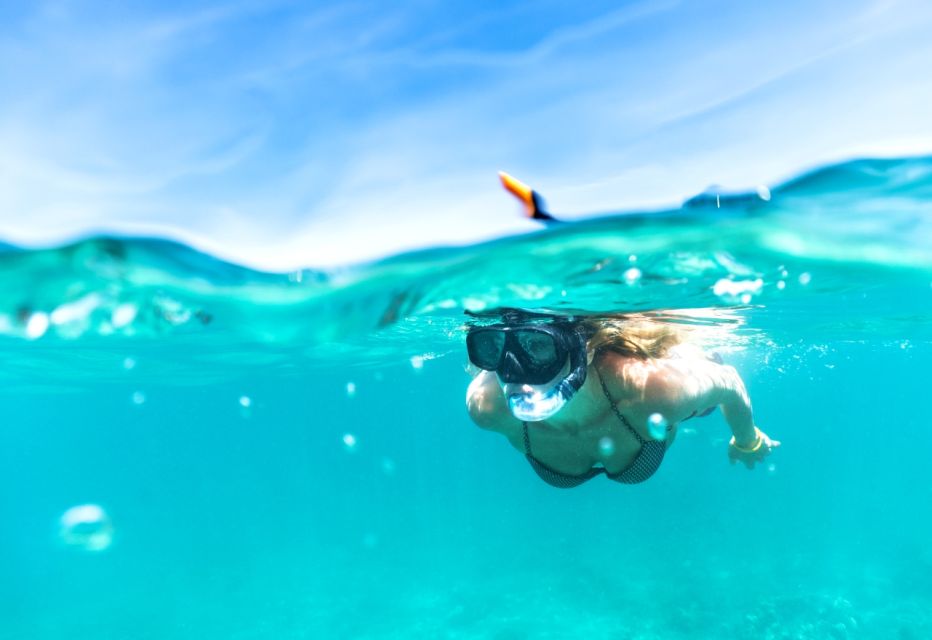Waikiki: Turtle Snorkeling Cruise With 20FT Jumping Platform - Pickup and Drop-off Service