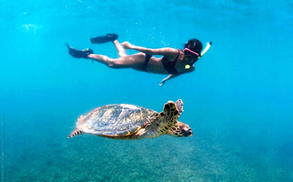 Waikiki: Turtle Snorkeling Cruise With 20FT Jumping Platform - Snorkeling Equipment and Life Jackets
