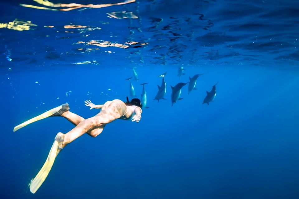 Waikiki: Turtle Snorkeling Cruise With 20FT Jumping Platform - Recap