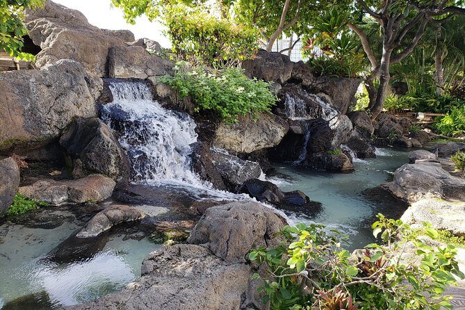 Waikiki Walking Tour, Treats, Free Video and Pics! - Exploring Waikiki Beach and Kapiolani Park
