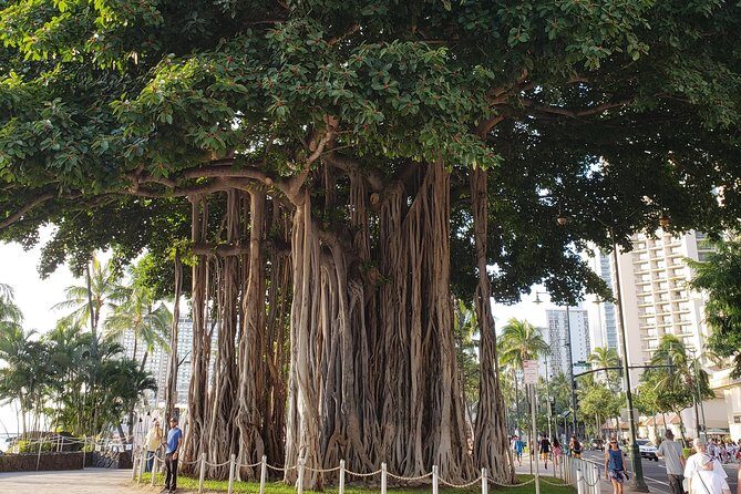 Waikiki Walking Tour, Treats, Free Video and Pics! - Sacred Areas and Cultural Highlights