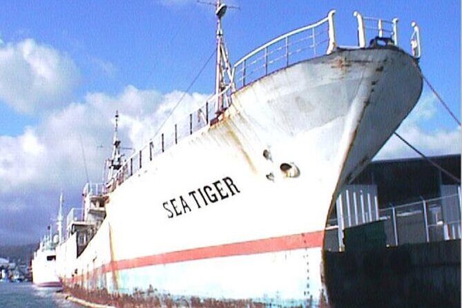 Waikikis Best Wreck And Reef Dive - Detailed Breakdown of the Tour Experience