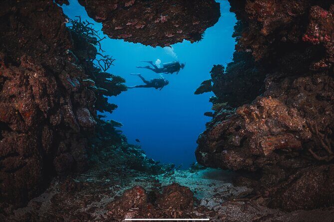 Waikikis Best Wreck And Reef Dive - The Sum Up