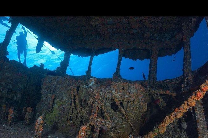 Waikikis Best Wreck And Reef Dive - FAQ