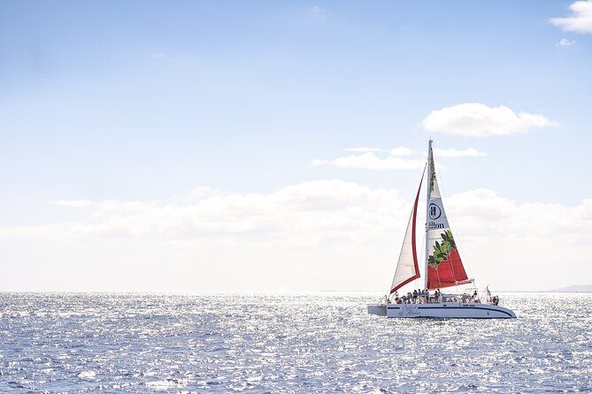 Waikoloa Turtle Catamaran Snorkel Sail - Waikoloa Turtle Catamaran Snorkel Sail Review