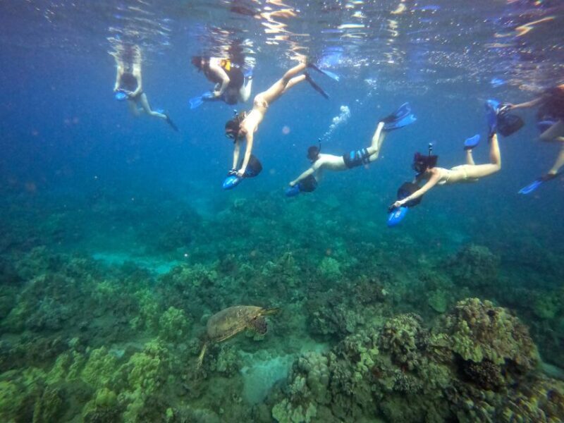 Wailea Beach: Guided Sea Scooter Snorkeling Tour - The Sum Up
