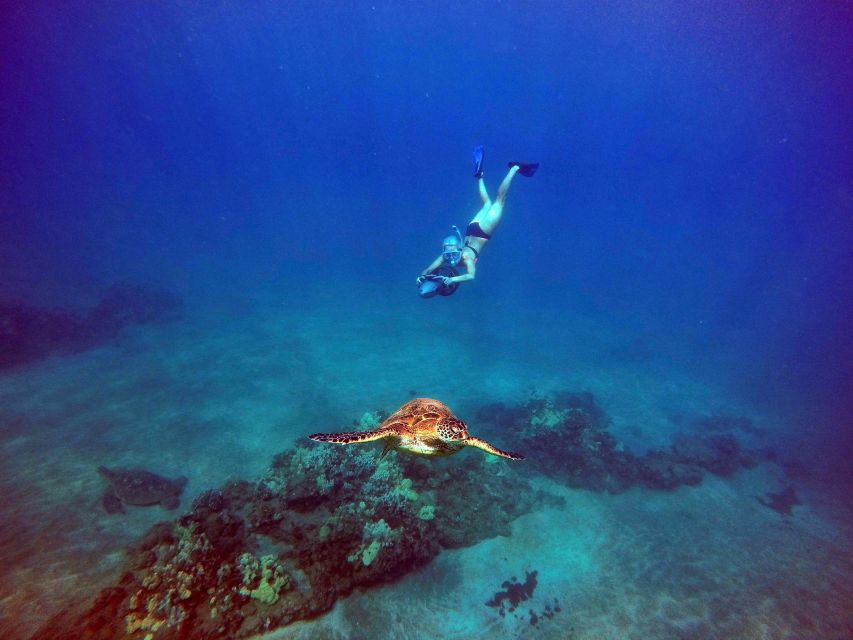 Wailea Beach: Guided Sea Scooter Snorkeling Tour - Key Points