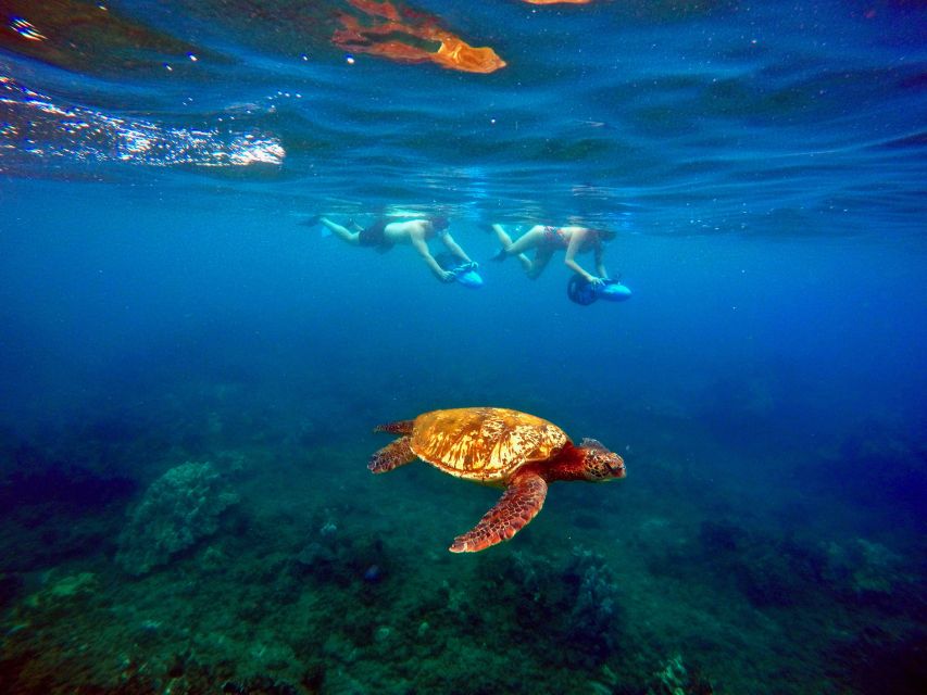 Wailea Beach: Guided Sea Scooter Snorkeling Tour - Possibility of Manta Rays and Turtles