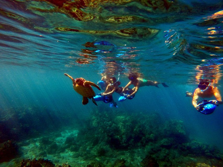 Wailea Beach: Guided Sea Scooter Snorkeling Tour - Cancellation Policy