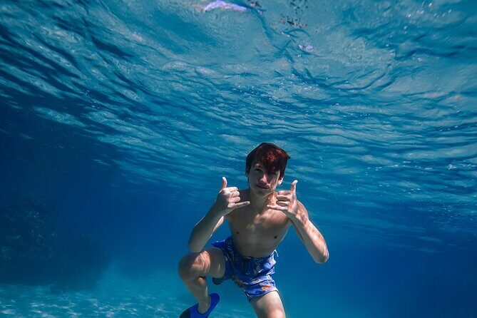 Wailea Wildlife Tour with Snorkeling - Final Thoughts