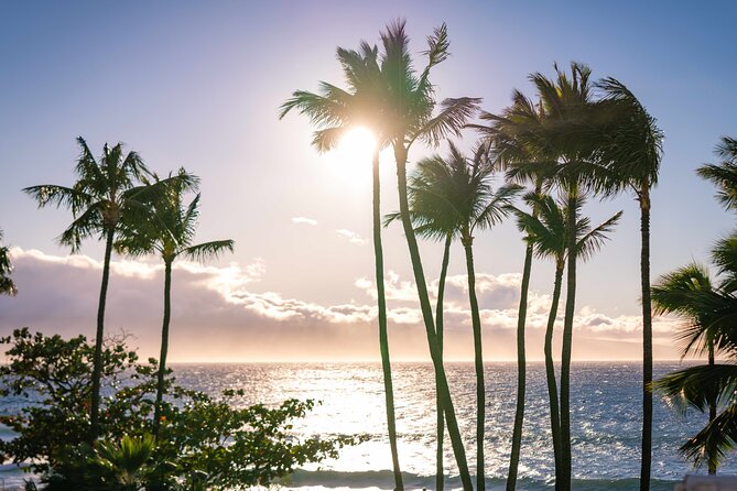 Wailele Luau Including Fire and Knife Performance Plus Dinner - Performances and Entertainment