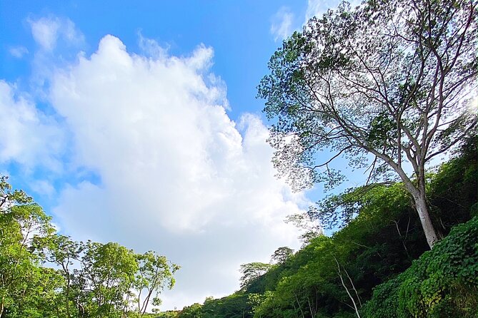Wailua River and Secret Falls Kayak and Hiking Tour on Kauai - Traveler Reviews