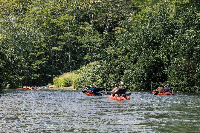 Wailua River: Kayak & Secret Waterfall Adventure - Who Will Enjoy This Tour Most?