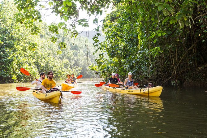 Wailua River Paddle - Equipment and Attire Recommendations