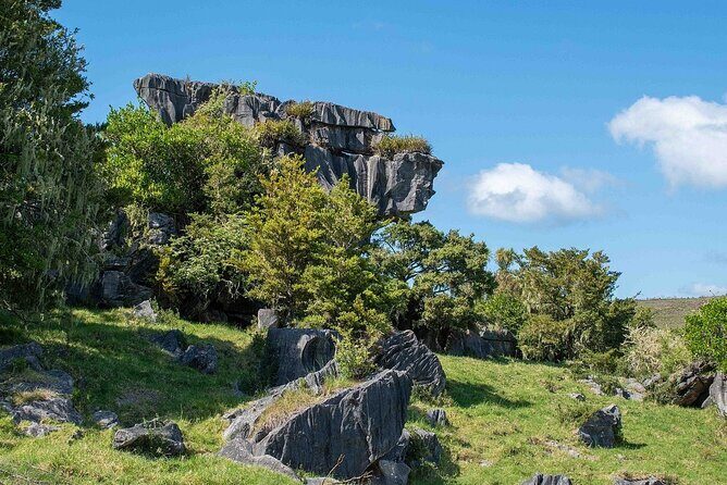 Waiomio Kawiti Glowworm Cave & Ngawha Hot Springs day tour - Who Will Love This Tour?